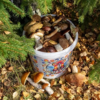 Potravinové vedro GWIOZDA - s vekom, 10 L – photo 10