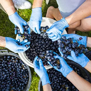 Fermentačná nádoba s vekom 30 L – photo 17