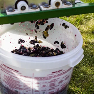 Fermentačná nádoba s vekom 30 L – photo 18