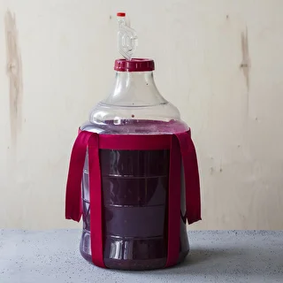 Balón na víno ľahký, nerozbitný, s popruhmi, 25 L – photo 15