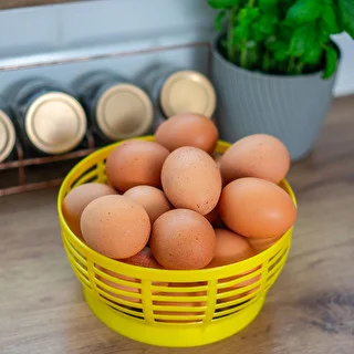 Plastový košík na Dam 5L, žltý – photo 8