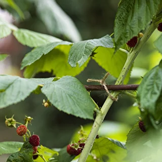 Jutový špagát 2 mm/110 m/250 g – photo 9