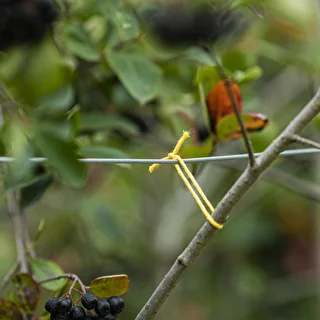 Bavlnený špagát žltý 2 mm/55 m/100 g – photo 7