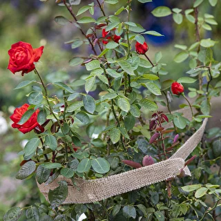 Jutová páska 5 cm / 8 m – photo 7