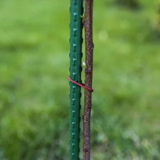 Záhradné tyčky Bioogród – oceľové povlečené, 1,5 m, fi 11 mm, 10 ks – photo 5