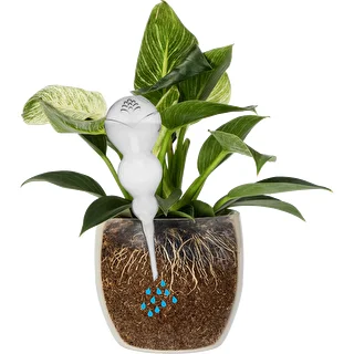 Trojitá zavlažovacia guľa (trojkomorová), priehľadná bezfarebná, 600 ml – photo 3