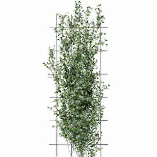 Podpora pre rastliny – záhradná mriežka 150 x 60cm – photo 3