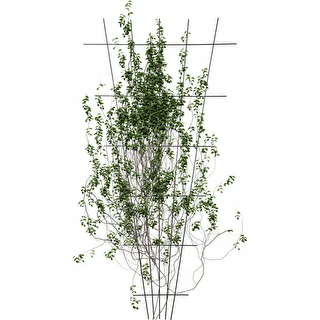 Podpera pre rastliny - mriežka (150cm x 75cm) 2 kusy – photo 3