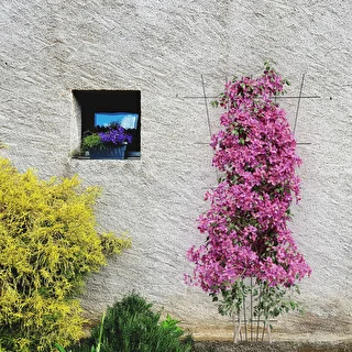 Podpera pre rastliny - mriežka (150cm x 75cm) 2 kusy – photo 4