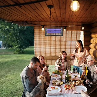 Lampa na hubenie hmyzu UVA 20 W, čierna – photo 9