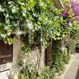 Odpudzovač vtákov – odrazové špirály v striebornej farbe, 6 kusov – photo 9
