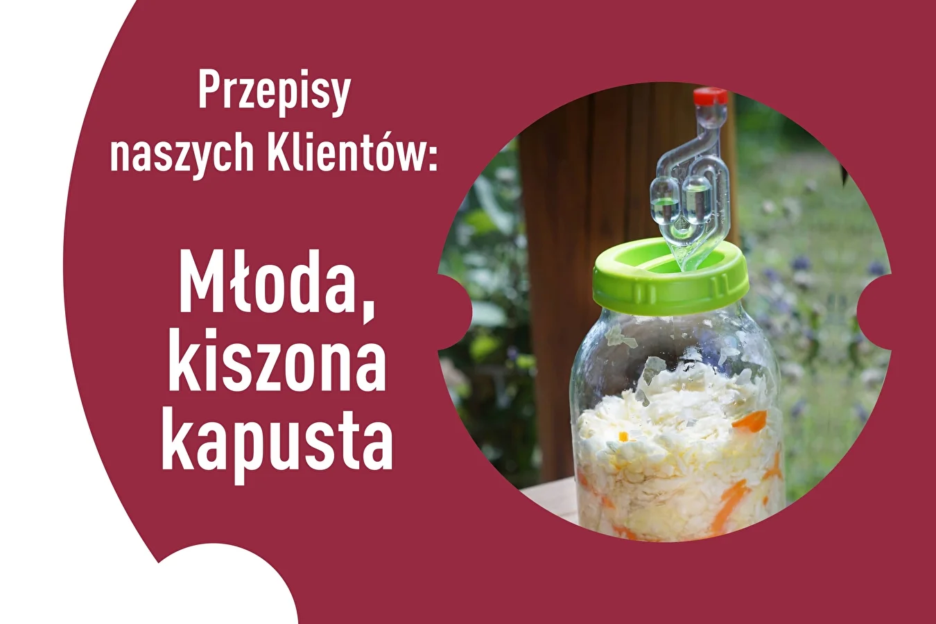 Recepty našich zákazníkov: Mladá kvasená kapusta