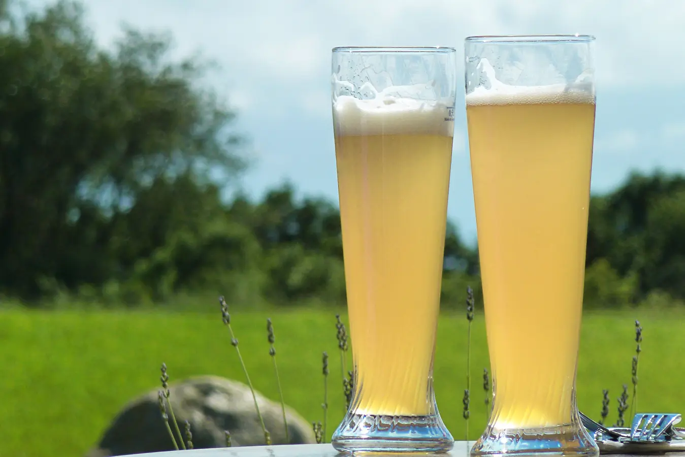 Pšeničné pivo „Biele”