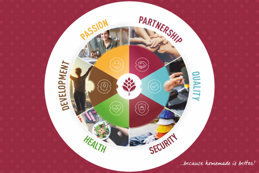 Browin - misia, vízia, hodnoty