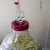 Balón na víno ľahký, nerozbitný, s popruhmi, 25 L - 13 ['balóny na víno', ' balóny na pivo', ' nádoby na víno', ' nádoby na pivo', ' nádoby PET', ' balóny so širokým hrdlom', ' vinárske súpravy', ' nerozbitné nádoby', ' nádoby na fermentáciu', ' balóny na fermentáciu', ' balóny so skrutkovacím uzáverom', ' balóny s príslušenstvom', ' novinky vo vinárstve', ' domáce vína', ' domáce pivá', ' popruhy na prenášanie', ' balóny', ' z plastu', ' nerozbitné', ' fermentor', ' demižón', ' demižón', ' galón', ' víno', ' pivo', ' s popruhmi', ' súprava']