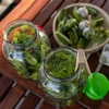 Dóza TO 4 L a viečko fi 100 s držadlom - 8 ['dóza', ' sklenená dóza', ' sklenený pohár', ' pohár s viečkom', ' pohár na kvasenie uhoriek', ' pohár na uhorky', ' pohár na likéry', ' dóza na likéry', ' pohár s kliešťami', ' kliešte na uhorky', ' kuchynské kliešte']
