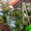 Dóza TO 4 L s plastovým viečkom + kliešte fi 100 - 8 ['dóza', ' sklenená dóza', ' sklenený pohár', ' pohár s viečkom', ' pohár na kvasenie uhoriek', ' pohár na uhorky', ' pohár na likéry', ' dóza na likéry', ' pohár s kliešťami', ' kliešte na uhorky', ' kuchynské kliešte']