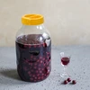 Dóza TO 5 L a plastové viečko fi 100, s držadlom - 5 ['dóza', ' sklenená dóza', ' sklenený pohár', ' pohár s viečkom', ' pohár na nakladanie uhoriek', ' pohár na uhorky', ' pohár na tinktúry', ' dóza na tinktúry', ' pohár s držadlom', ' viečko s držadlom', ' praktická dóza', ' dóza s držadlom', ' pekný pohár', ' aký pohár kúpiť']