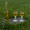 Fľaša na likér 100 ml 6 ks + 6 zátok - 11 ['fľaša na alkohol', ' ozdobné fľaše na alkohol', ' sklenená fľaša na alkohol', ' fľaše na pálenku na svadbu', ' fľaša na likér', ' fľaša na víno', ' fľaše na víno', ' likér']