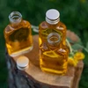 Fľaša na likéry ploskačka 200 ml - 10 kusov - 6 ['fľaša ploskačka', ' sklenená fľaša', ' fľaša na domáce likéry', ' sklenené fľaše', ' fľaše 200 ml', ' 10 kusov', ' fľaša s uzáverom', ' malé fľaše', ' sklenené fľaštičky']