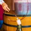 Hadička na stáčanie vína s pumpou - 10 ['hadička na stáčanie vína s pumpou', ' hadička na sťahovanie vína s pumpou', ' stáčanie vína', ' stáčanie vína z nad usadeniny', ' sťahovanie vína']