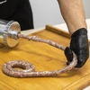 Horizontálna plnička 2,5 kg so silikónovým piestom - 13 ['plnička na údeniny', ' plnička na klobásy', ' plnička na údeniny', ' horizontálna plnička', ' striekačka na klobásy', ' striekačka na mäso', ' domáca plnička', ' gastronomická plnička', ' mäsiarsky nástroj', ' plnička na klobásy', ' údenárska plnička', ' horizontálna plnička']