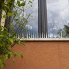 Hroty proti vtákom - 40x9x8,5cm, 3 ks. - 3 ['odpudzovač vtákov', ' plastové hroty proti vtákom', ' odpudzovač plastové hroty', ' hroty na holuby', ' hroty na parapet', ' lišta s hrotmi proti vtákom', ' ochrana pred vtákmi']