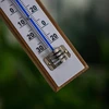 Izbový teplomer s bielou stupnicou (-30°C do +50°C) 20cm - 4 ['vnútorný teplomer', ' izbový teplomer', ' teplomer do vnútra', ' domáci teplomer', ' teplomer', ' drevený izbový teplomer', ' teplomer čitateľná stupnica', ' teplomer s dvojitou stupnicou']