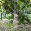 Jutová páska 10 cm/5 m - 5 ['jutová páska', ' jutová páska', ' páska na paradajky', ' páska na uhorky', ' prírodná páska', ' ekopáska', ' páska na viazanie', ' páska na ručné práce', ' jutová stuha']