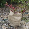 Jutová páska 10 cm/5 m - 6 ['jutová páska', ' jutová páska', ' páska na paradajky', ' páska na uhorky', ' prírodná páska', ' ekopáska', ' páska na viazanie', ' páska na ručné práce', ' jutová stuha']