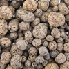 Keramzit pre izbové rastliny, záhradníctvo a lesy v skle, 4-10 mm, 1L - 5 ['keramzit', ' keramzit záhradnícky', ' cena keramzitu', ' drenáž rastlín', ' drenáž pod rastliny v záhrade', ' keramzit pre rastliny', ' keramzit do pôdy', ' keramzit do lesov v skle', ' keramzit do lesov v pohári', ' zavlažovanie rastlín', ' ako zlepšiť pestovanie rastlín', ' do domu a záhrady', ' starostlivosť o rastliny', ' ochrana rastlín', ' ako sa starať o rastliny', ' ako sa starať o kvety v záhrade', ' pestovanie kvetov v kvetináčoch', ' prostriedky na pestovanie rastlín', ' substráty pre rastliny', ' rastliny v dome', ' rastliny v záhrade', ' rady záhradníkov', ' kvety v dome', ' lesy v pohároch', ' rastliny v skle', ' rastlinné kompozície v skle']