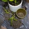 Keramzit pre izbové rastliny, záhradníctvo a lesy v skle, 4-10 mm, 1L - 9 ['keramzit', ' keramzit záhradnícky', ' cena keramzitu', ' drenáž rastlín', ' drenáž pod rastliny v záhrade', ' keramzit pre rastliny', ' keramzit do pôdy', ' keramzit do lesov v skle', ' keramzit do lesov v pohári', ' zavlažovanie rastlín', ' ako zlepšiť pestovanie rastlín', ' do domu a záhrady', ' starostlivosť o rastliny', ' ochrana rastlín', ' ako sa starať o rastliny', ' ako sa starať o kvety v záhrade', ' pestovanie kvetov v kvetináčoch', ' prostriedky na pestovanie rastlín', ' substráty pre rastliny', ' rastliny v dome', ' rastliny v záhrade', ' rady záhradníkov', ' kvety v dome', ' lesy v pohároch', ' rastliny v skle', ' rastlinné kompozície v skle']