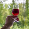 Klarowin Duo Rapid - chitozán + kremičitý prostriedok, 65 g - 5 ['klarowin', ' na čírenie vín', ' číriaci prostriedok', ' prostriedok na zakalenie vo víne', ' chitozán na čírenie', ' kremičitý prostriedok na čírenie', ' číriaci prostriedok 24 h']
