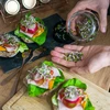 Klíčiaca nádoba na zaváranie Twist-off so semenami reďkovky - 12 ['klíčiaca nádoba', ' sklenená klíčiaca nádoba', ' pestovanie klíčkov', ' klíčiaca nádoba na zaváranie', ' klíčič', ' klíčiaca nádoba', ' klíčky reďkovky']