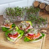 Klíčkovnica viacúrovňová Niezłe Ziółko + 10 balení semien - 18 ['zdravé klíčky', ' domáca pestovanie klíčkov', ' klíčky produkt vegánsky', ' pestovanie klíčkov doma', ' klíčkovnice', ' klíčkovnica do domu', ' pestovanie klíčkov', ' semená na klíčenie', ' súprava klíčkovnica so semenami', ' klíčkovnica so semenami', ' klíčkovnica so súpravou semien', ' klíčky', ' klíčenie', ' klíčkovnica viacúrovňová', ' klíčkovnica']