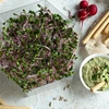 Klíčkovnica viacúrovňová Niezłe Ziółko + 10 balení semien - 16 ['zdravé klíčky', ' domáca pestovanie klíčkov', ' klíčky produkt vegánsky', ' pestovanie klíčkov doma', ' klíčkovnice', ' klíčkovnica do domu', ' pestovanie klíčkov', ' semená na klíčenie', ' súprava klíčkovnica so semenami', ' klíčkovnica so semenami', ' klíčkovnica so súpravou semien', ' klíčky', ' klíčenie', ' klíčkovnica viacúrovňová', ' klíčkovnica']