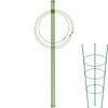 Kruhová podpora pre rastliny 3 kruhy 0,7m - 13 
