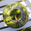 Neporušený, multifunkčný pohár na fermentáciu, 8L - 5 ['neporušený pohár', ' plastový pohár', ' pohár z plastu', ' pohár na víno', ' pohár na cider', ' na fermentáciu vína', ' pohár s fermentačnou trubičkou']