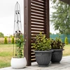 Ozdobná pergola - Pyramída, 150 cm - 6 ['podpora pre rastliny', ' pre popínavé rastliny', ' pre pestovanie rastlín', ' pre ruže', ' pre paradajky', ' pre kríky']