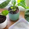 Perlit pre izbové rastliny a záhradníctvo, 2L - 8 ['perlit', ' záhradnícky perlit', ' perlit pre rastliny', ' perlit do pôdy', ' cena perlitu', ' drenáž rastlín', ' drenáž pod rastliny v záhrade', ' zavlažovanie rastlín', ' ako zlepšiť pestovanie rastlín', ' do domu a záhrady', ' starostlivosť o rastliny', ' ochrana rastlín', ' ako sa starať o rastliny', ' ako sa starať o kvety v záhrade', ' pestovanie izbových kvetov', ' prostriedky na pestovanie rastlín', ' výživa rastlín', ' klíčenie rastlín', ' substráty pre rastliny', ' rastliny v dome', ' rastliny v záhrade', ' rady záhradníkov', ' kvety v dome']