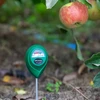 pH Meter Pôdny - 9 ['ph meter do pôdy', ' analýza pôdy', ' merač ph pôdy', ' ph pôdy', ' ako skontrolovať ph pôdy', ' ako preskúmať ph pôdy', ' skúmanie ph pôdy', ' meranie ph pôdy', ' reakcia pôdy', ' reakcia ph pôdy', ' kyslosť pôdy']