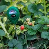 pH Meter Pôdny - 11 ['ph meter do pôdy', ' analýza pôdy', ' merač ph pôdy', ' ph pôdy', ' ako skontrolovať ph pôdy', ' ako preskúmať ph pôdy', ' skúmanie ph pôdy', ' meranie ph pôdy', ' reakcia pôdy', ' reakcia ph pôdy', ' kyslosť pôdy']