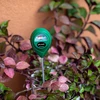 pH Meter Pôdny - 13 ['ph meter do pôdy', ' analýza pôdy', ' merač ph pôdy', ' ph pôdy', ' ako skontrolovať ph pôdy', ' ako preskúmať ph pôdy', ' skúmanie ph pôdy', ' meranie ph pôdy', ' reakcia pôdy', ' reakcia ph pôdy', ' kyslosť pôdy']