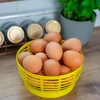 Plastový košík na Dam 5L, žltý - 8 ['plastový kôš na balón na víno', ' plastový kôš na balón', ' plastový košík na balón na víno', ' kôš na balón na víno', ' nádoba na balón']