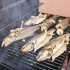 Štiepky na údenie/grilovanie, jelša, 450 g, kl. 2 - 13 ['drevené štiepky na údenie', ' štiepky na údenie', ' štiepky na gril', ' štiepky na grilovanie', ' údený dym', ' štiepky z jelše', ' jelšové štiepky', ' štiepky z jelšiny', ' štiepky z jelšového dreva', ' štiepky na údenie mäsa', ' štiepky do údiarne', ' štiepky na ryby', ' štiepky na jahňacinu', ' štiepky na bravčovinu', ' štiepky na hovädzinu', ' štiepky na divinu', ' údenie mäsa']