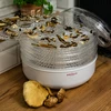 Sušička na huby, ovocie, zeleninu a bylinky 125 W - 10 ['sušičky na potraviny', ' sušička na huby', ' sušička na ovocie', ' sušenie zeleniny', ' sušenie mäsa', ' sušička na zeleninu', ' sušenie potravín', ' sušenie jedla', ' kuchynská sušička']