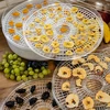 Sušička na huby, ovocie, zeleninu a bylinky 125 W - 11 ['sušičky na potraviny', ' sušička na huby', ' sušička na ovocie', ' sušenie zeleniny', ' sušenie mäsa', ' sušička na zeleninu', ' sušenie potravín', ' sušenie jedla', ' kuchynská sušička']