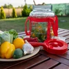Univerzálny pohár 8 L - 8 ['pohár na víno', ' pohár na zaváraniny', ' pohár na víno', ' veľký sklenený pohár', ' na likér']