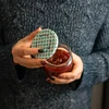 Uzáver fi 82/6 mriežka - 10 ks. - 14 ['uzávery', ' uzáver', ' na poháre', ' na džemy', ' na zaváraniny', ' na zaváranie', ' na domáce džemy', ' viečko', ' viečka']