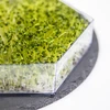 Viacúrovňová klíčkovnica Niezłe Ziółko so semenami reďkovky - 12 ['zdravé klíčky', ' domáca pestovanie klíčkov', ' klíčky produkt vegánsky', ' pestovanie klíčkov doma', ' klíčky reďkovky', ' pestovanie klíčkov', ' semená reďkovky', ' súprava klíčkovnica so semenami', ' klíčkovnica']